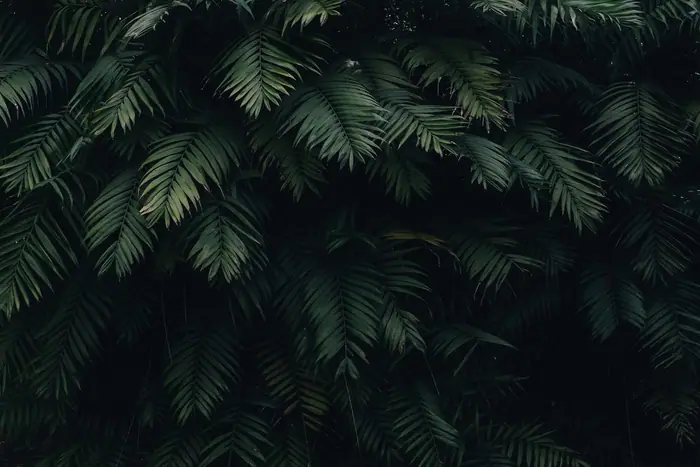 GreenScape
