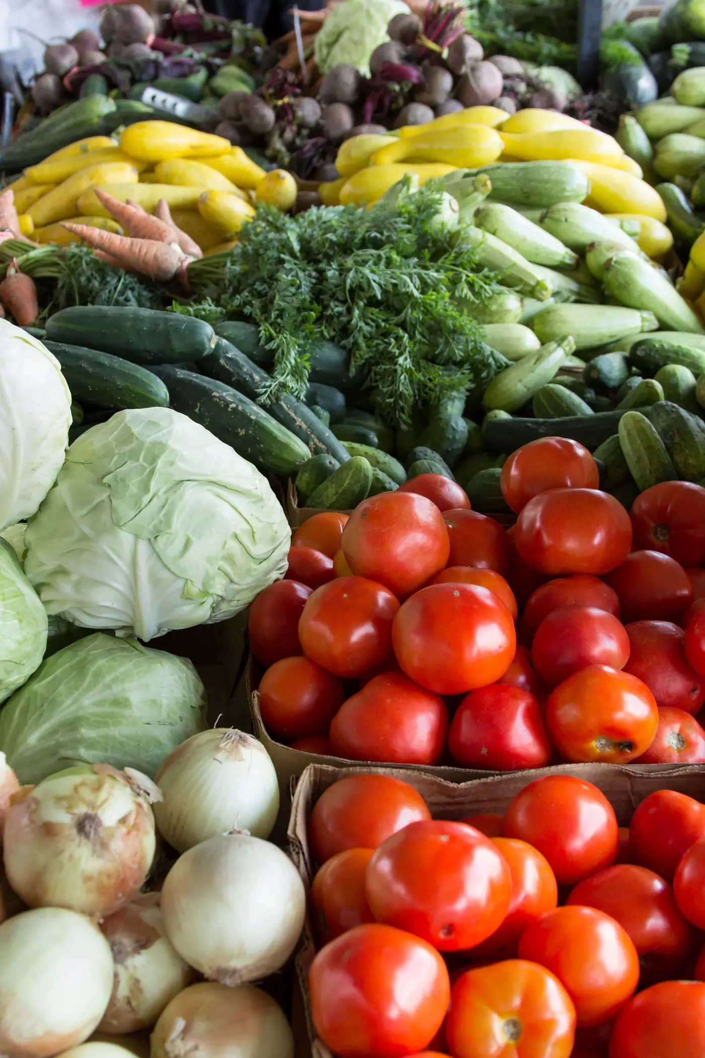 FreshHarvest