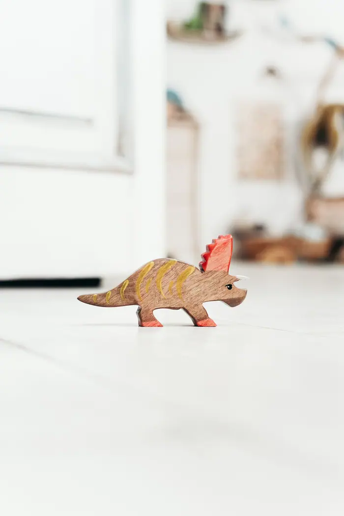 TinySteps